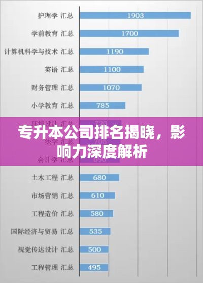 專升本公司排名揭曉，影響力深度解析