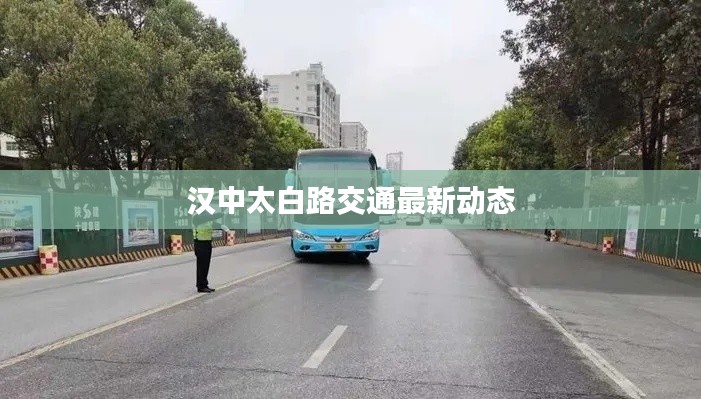 漢中太白路交通最新動態(tài)