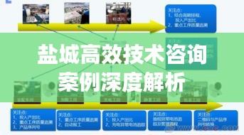 鹽城高效技術(shù)咨詢案例深度解析