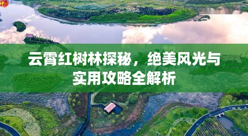 通宵達(dá)旦 第2頁(yè)