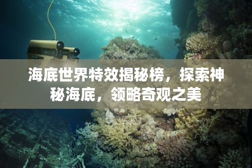 海底世界特效揭秘榜，探索神秘海底，領略奇觀之美