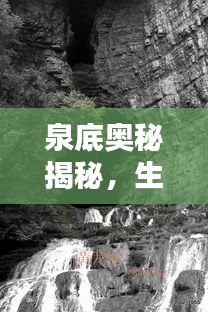 慌慌張張 第2頁(yè)