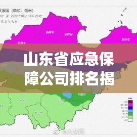 山東省應(yīng)急保障公司排名揭秘，行業(yè)深度分析與洞察