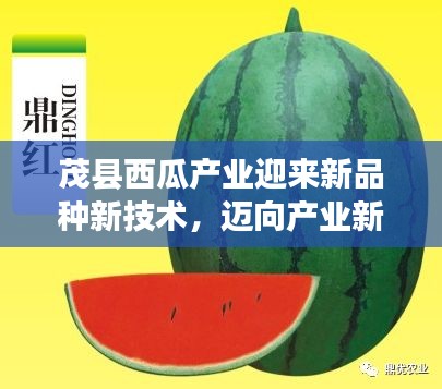茂縣西瓜產業(yè)迎來新品種新技術，邁向產業(yè)新高度！