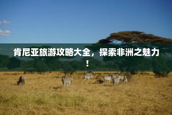 肯尼亞旅游攻略大全，探索非洲之魅力！