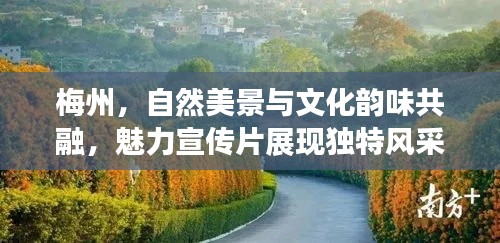 梅州，自然美景與文化韻味共融，魅力宣傳片展現獨特風采