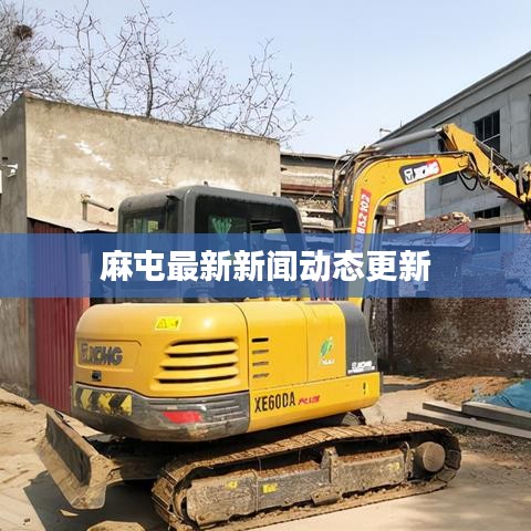 麻屯最新新聞動(dòng)態(tài)更新