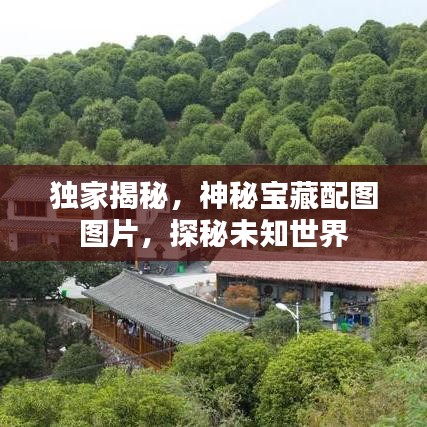 獨家揭秘，神秘寶藏配圖圖片，探秘未知世界
