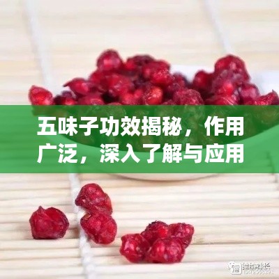 五味子功效揭秘，作用廣泛，深入了解與應用指南