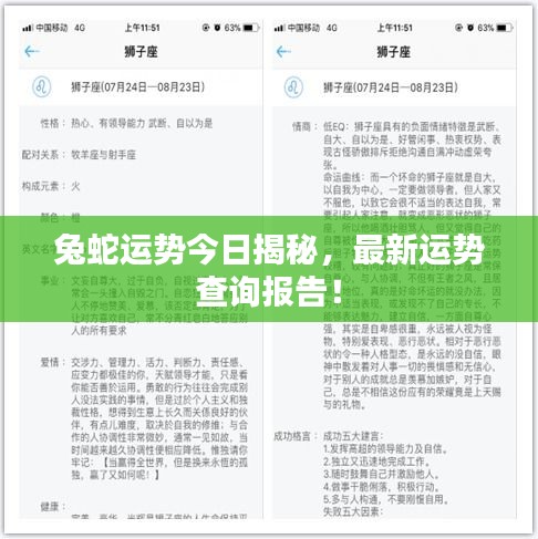 兔蛇運(yùn)勢(shì)今日揭秘，最新運(yùn)勢(shì)查詢報(bào)告！