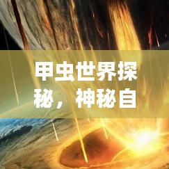 甲蟲世界探秘，神秘自然寶藏的旅游攻略