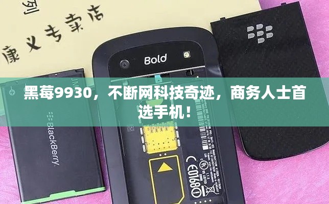 黑莓9930，不斷網(wǎng)科技奇跡，商務(wù)人士首選手機(jī)！
