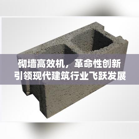 風流瀟灑 第2頁