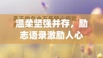 鶯啼鳥囀 第2頁