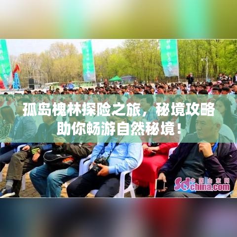 孤島槐林探險之旅，秘境攻略助你暢游自然秘境！