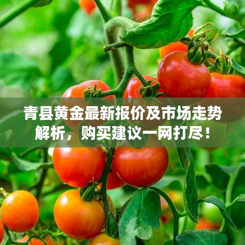 環(huán)肥燕瘦 第2頁