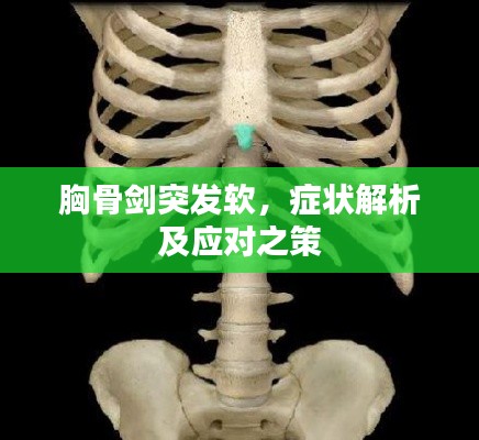 胸骨劍突發(fā)軟，癥狀解析及應(yīng)對之策