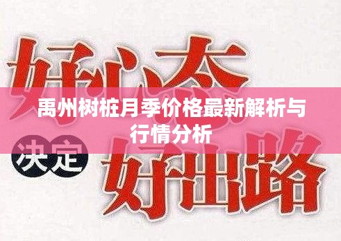 衣不重彩 第2頁