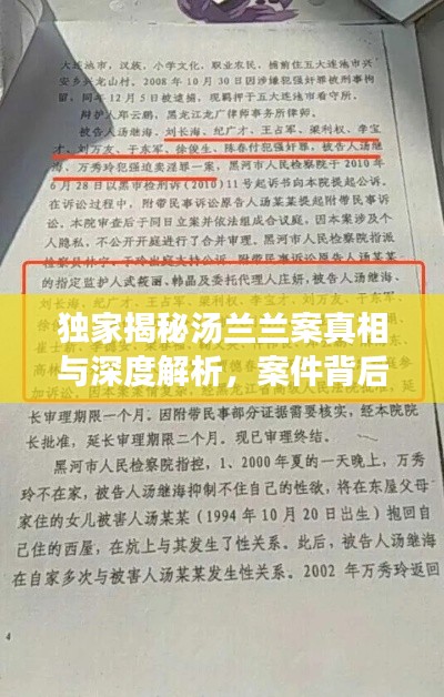 獨家揭秘湯蘭蘭案真相與深度解析，案件背后的驚人內(nèi)幕