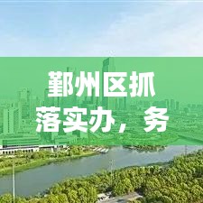 鄞州區抓落實辦，務實前行，助力區域發展新篇章