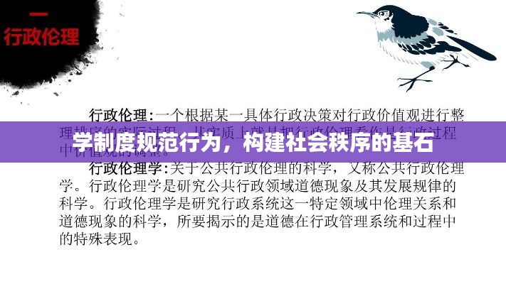 學制度規(guī)范行為，構(gòu)建社會秩序的基石