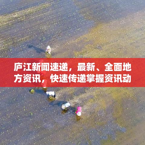 廬江新聞速遞，最新、全面地方資訊，快速傳遞掌握資訊動態(tài)