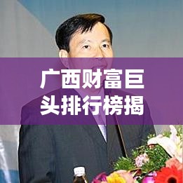 廣西財(cái)富巨頭排行榜揭秘，公司影響力深度分析