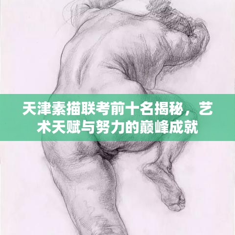 天津素描聯(lián)考前十名揭秘，藝術(shù)天賦與努力的巔峰成就