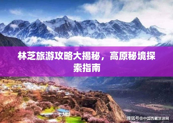 張狂妄行 第2頁