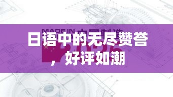 日語中的無盡贊譽，好評如潮