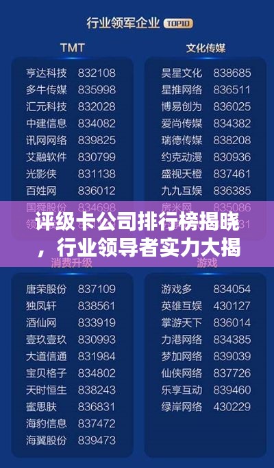 評級卡公司排行榜揭曉，行業(yè)領(lǐng)導(dǎo)者實力大揭秘！