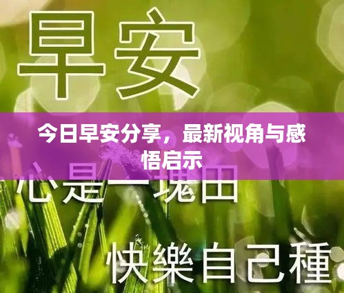 今日早安分享，最新視角與感悟啟示