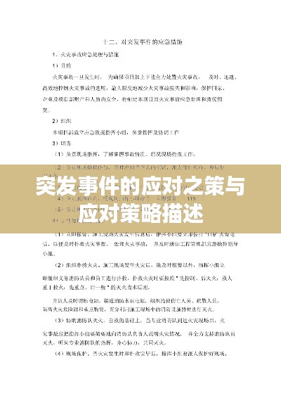 突發(fā)事件的應(yīng)對(duì)之策與應(yīng)對(duì)策略描述