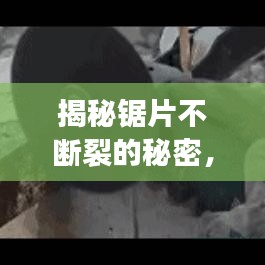 夫妻本是同 第2頁