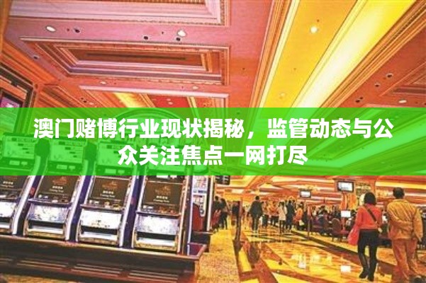 澳門賭博行業現狀揭秘，監管動態與公眾關注焦點一網打盡