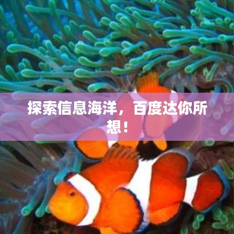 探索信息海洋，百度達(dá)你所想！