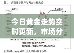 今日黃金走勢實時更新，市場分析與展望，最新報價揭秘