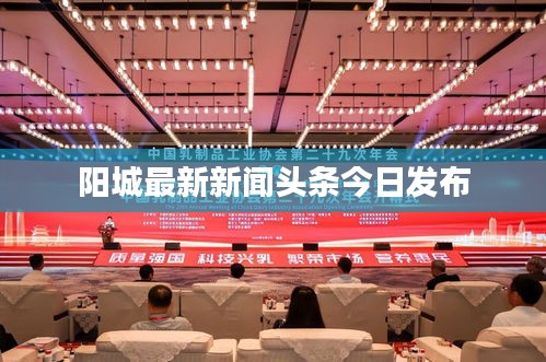 陽(yáng)城最新新聞?lì)^條今日發(fā)布