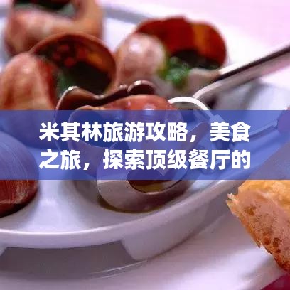 米其林旅游攻略，美食之旅，探索頂級餐廳的魅力之旅