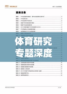 體育研究專題深度總結報告，洞悉精髓，引領行業(yè)新動向