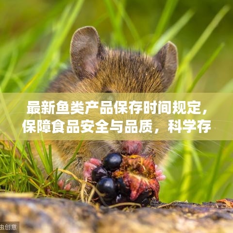 最新魚類產(chǎn)品保存時間規(guī)定，保障食品安全與品質(zhì)，科學(xué)存儲，健康享用