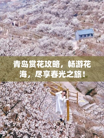 青島賞花攻略，暢游花海，盡享春光之旅！