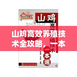 山雞高效養(yǎng)殖技術(shù)全攻略，一本通帶你輕松入門成專家