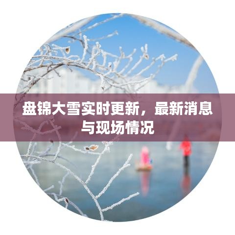 盤錦大雪實時更新，最新消息與現(xiàn)場情況