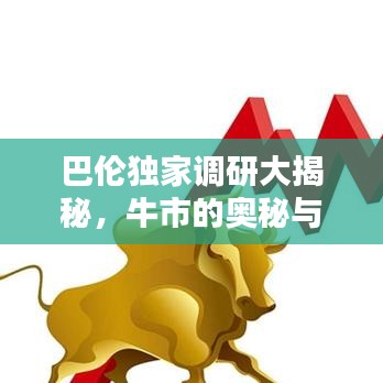 巴倫獨家調研大揭秘，牛市的奧秘與真相探索