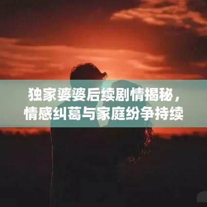 獨(dú)家婆婆后續(xù)劇情揭秘，情感糾葛與家庭紛爭持續(xù)升級