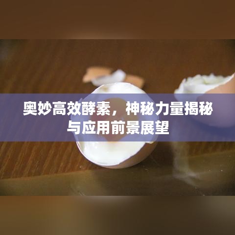奧妙高效酵素，神秘力量揭秘與應(yīng)用前景展望