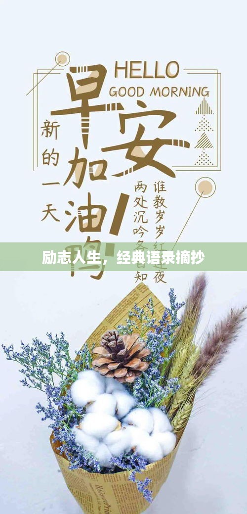 勵志人生，經典語錄摘抄
