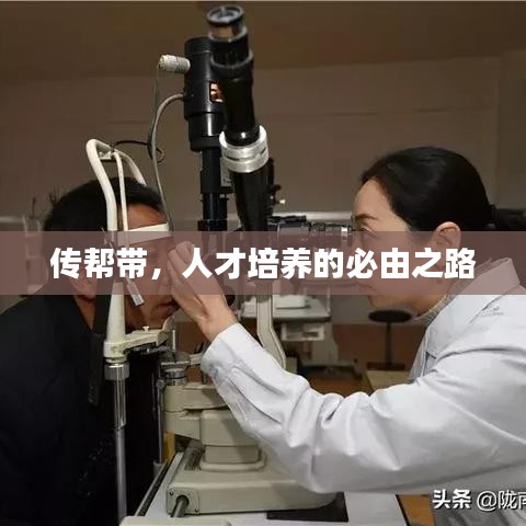 傳幫帶，人才培養的必由之路