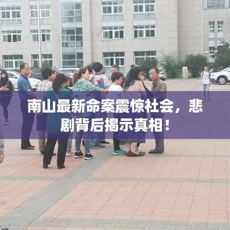 南山最新命案震驚社會，悲劇背后揭示真相！